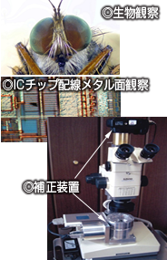goods2